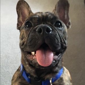 Meet your Posher, Chuck